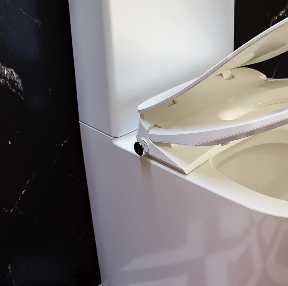 S1 Smart Bidet Toilet Seat